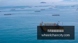 霍尔木兹海,峡安全警报,升级,IM体育,IM体育手机,移动访问
